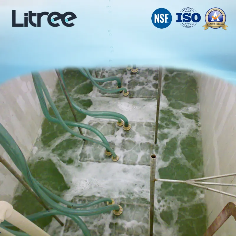 Litree Immersed UF Membrane Ultrafiltration Module for Industrial Park Water Treatment Plant